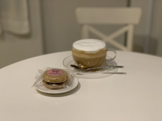 recommendations image for papillon