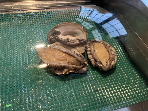 庄坊番屋的實拍高清圖