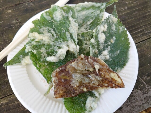 景信山頂上　景信茶屋　青木的实拍高清图