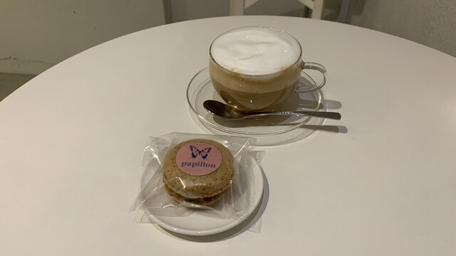 recommendations image for papillon