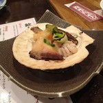 月夜のたぬき的实拍图