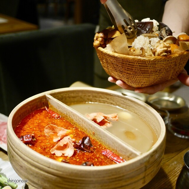 裏の山の木の子的實拍高清圖