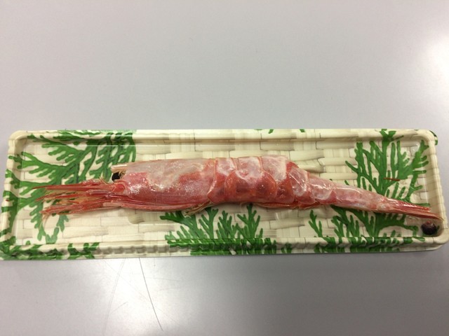 桂新堂 三越札幌店的實拍高清圖
