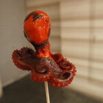 櫂的實拍圖