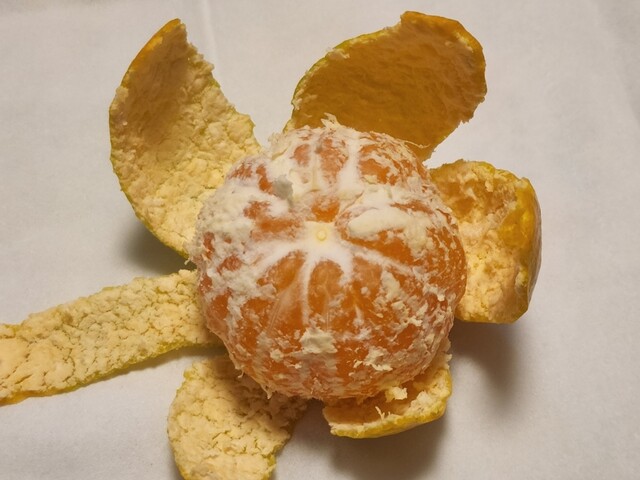 recommendations image for ジャパンミート卸売市場 王子店