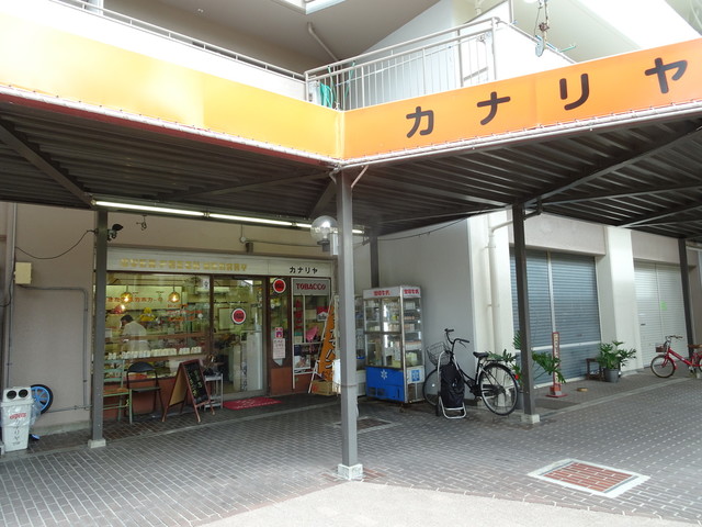 カナリヤ的实拍高清图