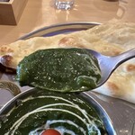 recommendations for SAGUN