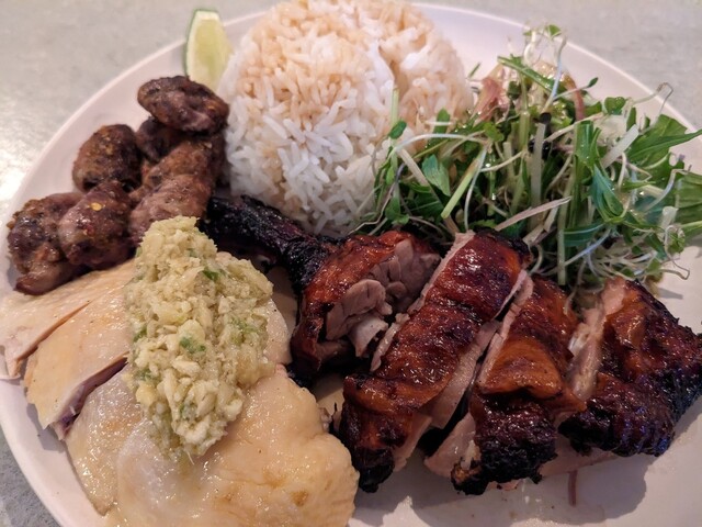 小梟的实拍高清图