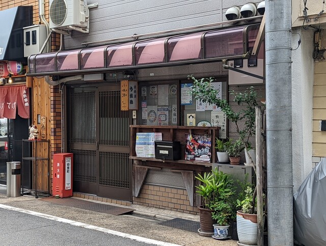 うを弥的实拍高清图