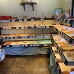 recommendations for SHINA