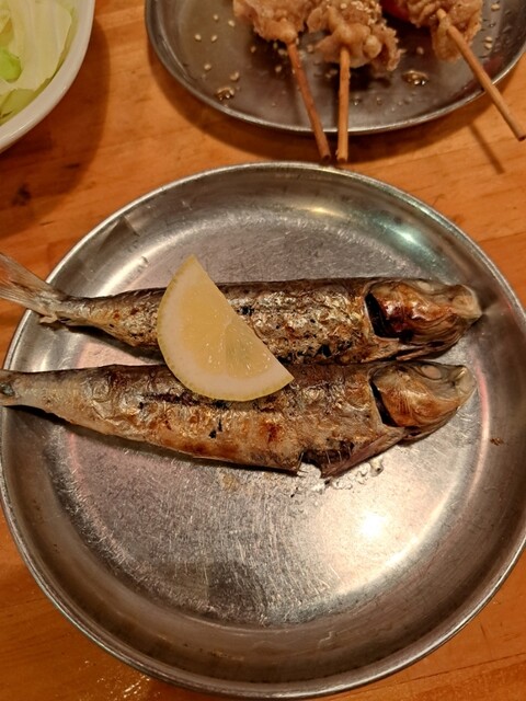 トラノコ的實拍高清圖