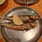 トラノコ的實拍圖