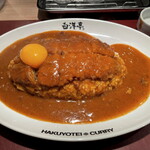 旨辛カレー専門店 白洋亭的实拍图