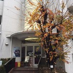 リチャード的实拍图
