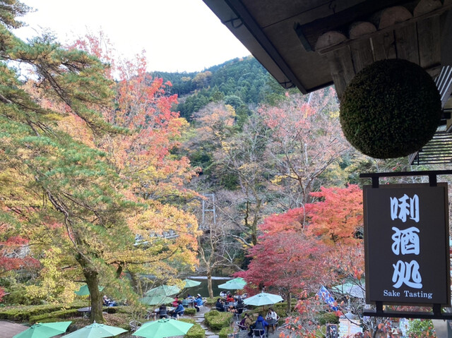 澤乃井 きき酒処的實拍高清圖