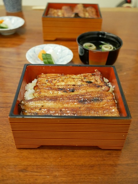 魚政的實拍高清圖