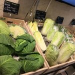 recommendations for サラダーマン