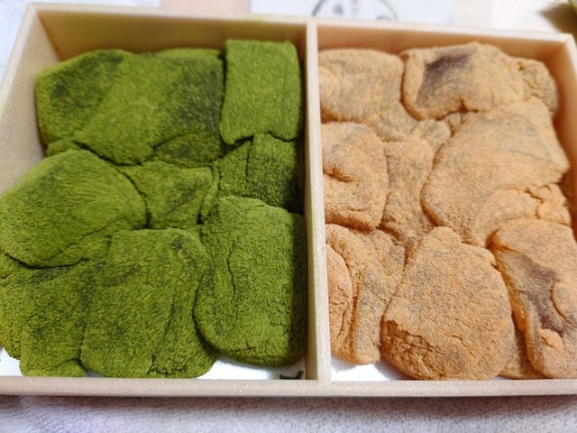 藤菜美 三年坂本店的實拍高清圖