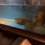 recommendations for くぼた