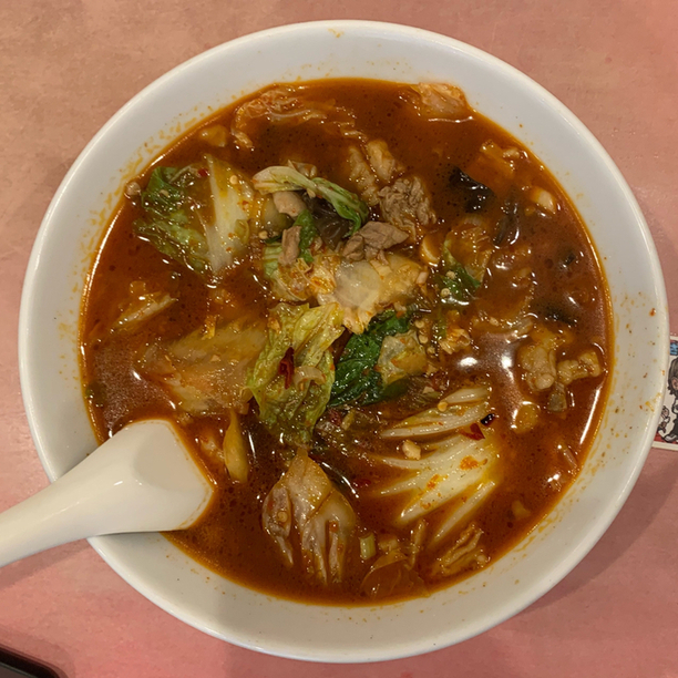 玉蘭的实拍高清图