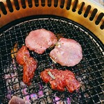 recommendations for 富士ロック