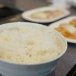ナビ的实拍图