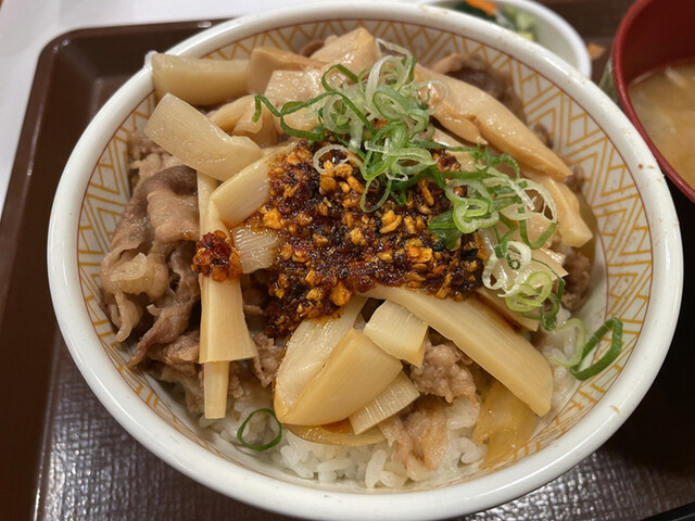 すき家 36号苫小牧明野店的實拍高清圖