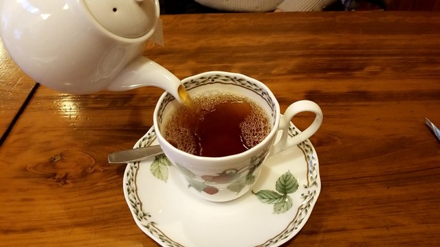 加茂川的實拍高清圖