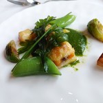 recommendations for クラシカ表参道