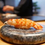 鮨 浩也的實拍圖