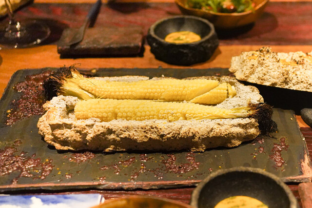 MAZ的實拍高清圖