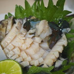 庄ちゃん寿司的實拍圖