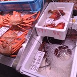 recommendations for 魚河岸 中與商店 武蔵小山店