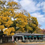 森のカフェ的實拍圖