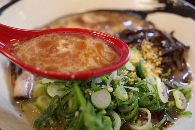 とんこつラーメン 薫的實拍高清圖