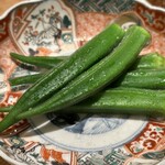 recommendations for 青山一丁目たぬき