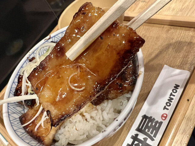 元祖豚丼屋 TONTON 船場センタービル10号館店的实拍高清图