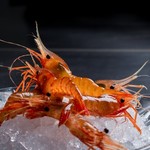 recommendations for 鉄板焼 石狩