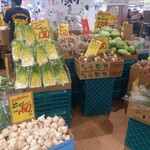 やおや植木商店的实拍图