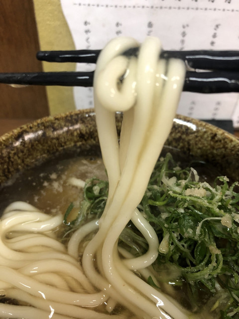 東寺うどん的实拍高清图
