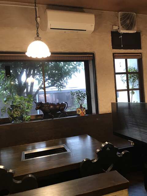 きんりゅう的实拍高清图