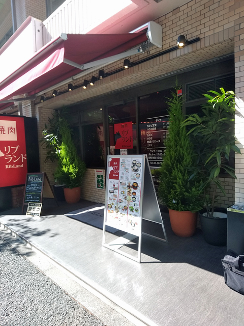 リブランド的实拍高清图