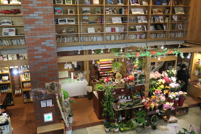 き花の杜的实拍高清图