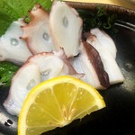 秀ちゃん的實拍圖