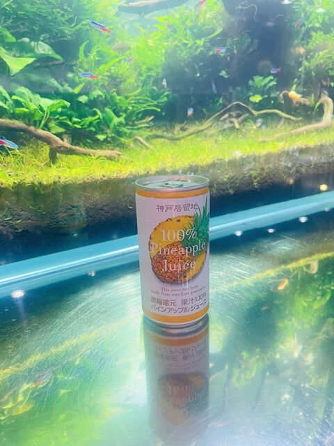 AQUA GARDEN KYOTO的實拍高清圖