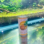 AQUA GARDEN KYOTO的實拍圖
