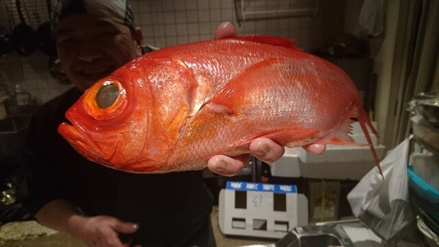魚肴食堂 魚ふじ的实拍高清图