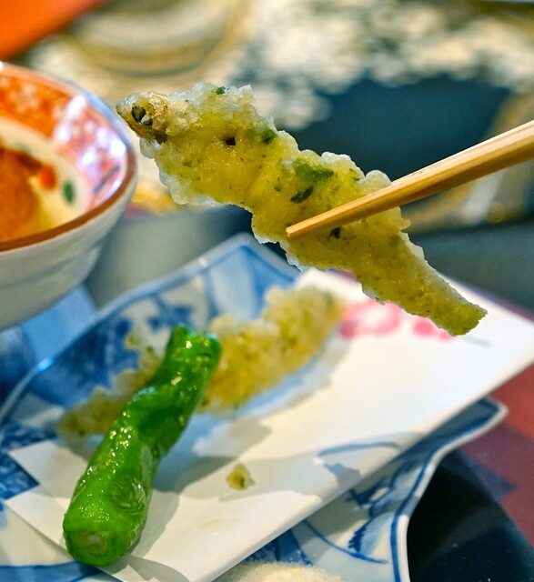 青山 星のなる木的實拍高清圖