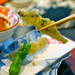 青山 星のなる木的實拍圖