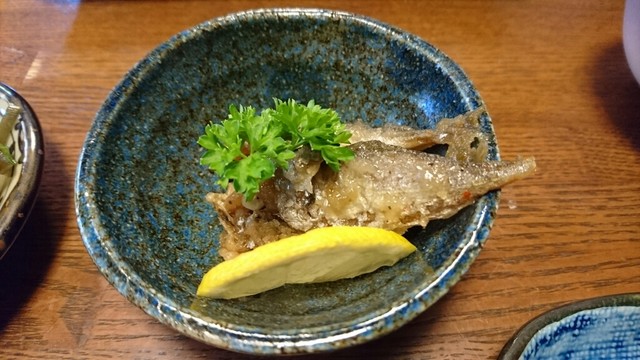 よしむら的实拍高清图